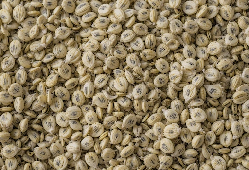 How to Find a Reputable Fennel Seeds Exporter